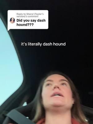 Replying to @Sheryl (Taylor’s version) who else says dash hound. #dashhound #dauschundsoftiktok #googerdog #countryaccent #icantbetheonlyone #MomsofTikTok #dadsoftiktok #millennial  