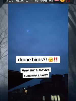 first the aliens in the ocean, then “dior bags”, voices on the radio, and now birds flashing and a mysterious fog 🤔 how suspicious america #fyppoppppppppppppppppppppppp #original #unitedstatesofamerica🇺🇸🇺🇸🇺🇸 #real #diorbag #alien #blowthisupforme #simulation #glitches 