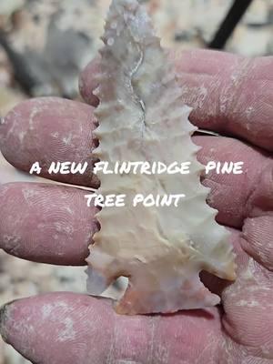 #flintknapping #flint #stone #foryoupgepage #mosherknapping #bushcraft #arrowhead #fyp #TikTokLIVE 