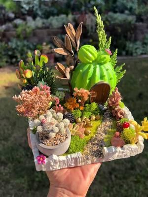 A whimsical garden made by me 🥰 live succulents and dried flowers and some seedpods collected from nature. Turned out super cute🥰  . . . . . . #whimsical #whimsicalgarden #fairygarden #fairyhouse #cavtisucculents #jadeplant #succulentobsession #fairygardendiys #plantqueens @Healingoutloud2 @Garden Answer @Jennie @Succulents Box @