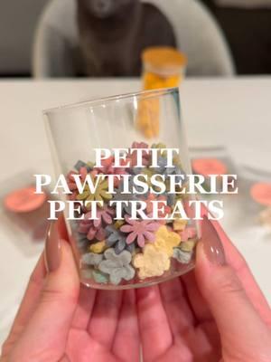 Unboxing @Petit Pawtisserie pet treats ✨    🔖 #cattok #cattreats #cattreat #dogtreats #pettreats 