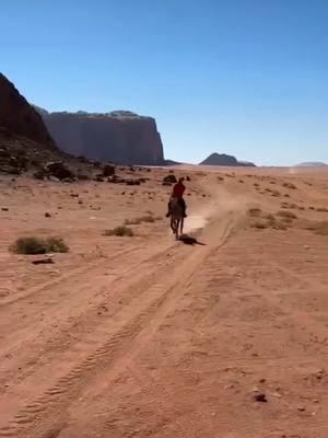 🇬🇧 Our countdown to the New Year continues with more special moments from Wadi Rum! 🌟 Today’s highlights include Sheikh’s early groundwork, riding with Ali’s kids, exhilarating gallops with Al Rahib, and snapshots from an unforgettable 3-day tour in the desert. Plus, a little playtime featuring Sheikh and Sahab, with Noor, Amir, and Knafeh stealing the spotlight (and the camera 😅). Every day is an adventure, and we can’t wait to create even more in 2025! 🏜️🐴 #horse #countdown #wadirumhorseadventures #TrailRide 🇫🇷 Notre compte à rebours vers la nouvelle année continue avec d’autres moments uniques à Wadi Rum ! 🌟 Les moments forts d’aujourd’hui incluent les débuts du travail à pied de Sheikh, des balades avec les enfants d’Ali, des galops sensationnels avec Al Rahib, et des instants capturés lors d’un incroyable tour de 3 jours dans le désert. Et bien sûr, un peu de jeu entre Sheikh et Sahab, avec Noor, Amir et Knafeh qui volent la vedette (et la caméra 😅). Chaque jour est une aventure, et nous avons hâte d’en vivre encore plus en 2025 ! 🏜️🐴 #wadirum #aventure #randonnée 🥰🎥 @wadirumhorseadventures