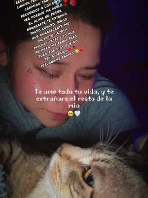 #recuerdame #mialmarota #imissyou #sad #mycat #migato #teextraño #universo #fyp #paratii #paratiiiiiiiiiiiiiiiiiiiiiiiiiiiiiii #sad #broken 