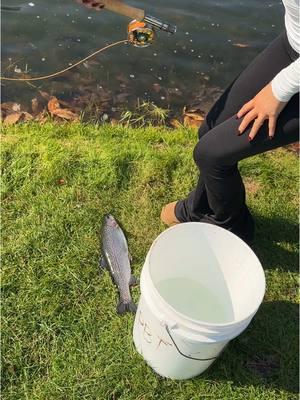 First Rainbow @isabellamidura20 #troutfishing #troutbum #flytishing 