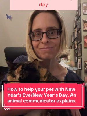 How to help your pet with New Year’s Eve/New Year’s Day. An animal communicator explains. #animalcommunication #animalcommunicator #petpsychic #petpsychicreading #petcommunicator #petcommunication #animalpsychic #petmedium #caninecommunication #felinecommunication #talktoanimals