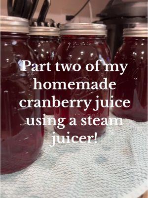 Part 2 of my homemade cranberry juice using a steam juicer! #steamjuicer #canning #waterbathcanning #cranberryjuice #canningtok #suburbanhomestead #homesteading 