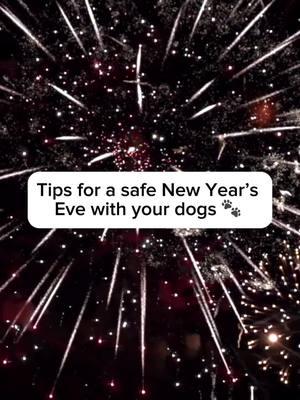 Hope everyone has a wonderful NYE! 💛 #nye #2025 #nyetips #nyesafety #happynewyear #ficollar #nativepet 