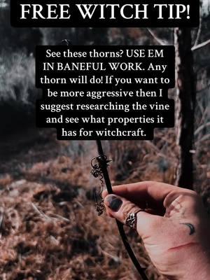 Just some free witchcraft for ya witchy self 🫶🏼🖤 #witchtok #witchesoftiktok #witchtokrising #witchesoftiktok🔮🌙 #greenwitch #witch #witchcraft #witchingonabudget #freewitchcraft #witchtip #witchtips #witchytip #witchytips #baneful #banefulherbs #banefultools 