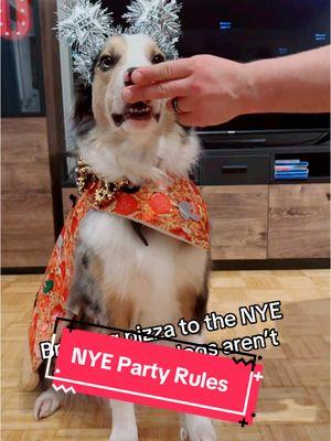 They’ll never know 🤫 Plus he needs company cause his firework anxiety 😥  #nye #nyeparty #nyeoutfit #newyearseve #dogdad #funny #viral #theaussiefam #hadesjaznateadventures 