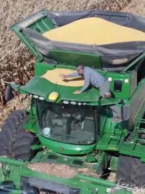 Dad tried to hide his cab corn #johndeere #straightforwardfarming #nwiowa #familyfarms #s780 #harvest24 