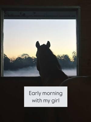 Early mornings spent at the barn are something special  #early #morning #barnchores #feedinghorses #ulcertreatment #horsemeds #mybestgirl #barrelhorse #morningbarnchores #barrelracer #horsecare 