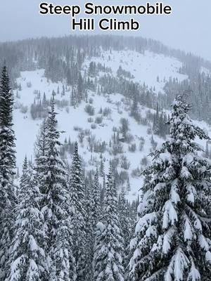 Steep snowmobile climb  #Snowmobiling #SnowmobileLife #SleddingSeason #SledHead #MountainRiding #BackcountrySledding #SnowmobileAdventures #SledLife #SnowmobileGear #SnowmobileHighlights #WinterVibes #SnowDay #AdrenalineRush #SnowFun #WinterWonderland #SledFam #SledCulture #DeepPow #PowderSledding #SkiDooLife  #SnowmobilingCommunity 