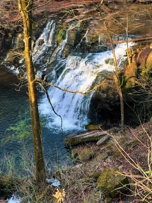 #rutledgefalls #waterfall #waterfalls #sunset #sunsetlover #easttn #fypシ #tennessee #viraltiktok #viralllllll #tennesseecheck #viral_videos #tn #viral_video #thatview #sunsets ☀️