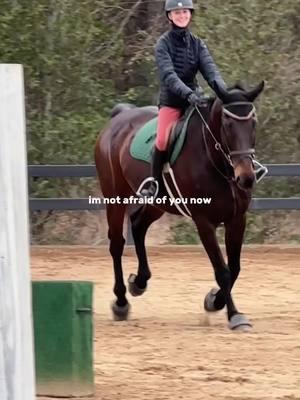 from unable scared and to trot or canter a pole without him bucking to moving up at wec in a year, listen to your horse #horsesontiktok #mfm #hunterjumper #showjumping #showjumper #eq #equitationhorse #equitation #horseshow #foru #foryou #foryourpage #fypシ゚viral #fypdongggggggg 