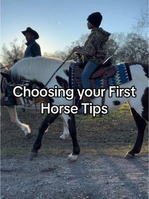 Finding the right horse can be crucial to your success as a owner. Purchase my Ebook:Horsemanship 101#horse #Tips #owner#care 