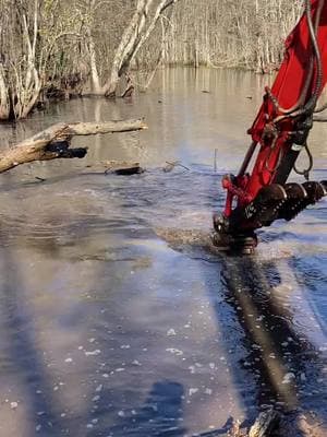 #loggingmachine #louisiana #woodtok #cypress #fyp 