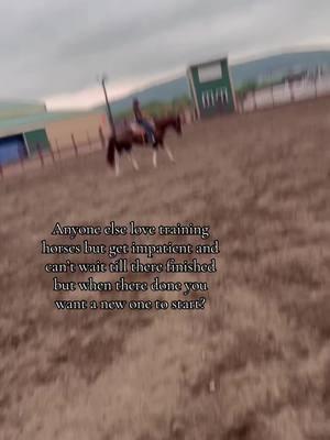 Got her as a four yr old it’s been almost two years of training and now as a 6yr old she’s a 1/2D pole horse 2/3D barrel horse.#foryou #foryou #viralvideo #fyppppppppppppppppppppppp #barrelracer #barrelhorse #sunnyincolorado #polebending #redmare #rodeo #blowthisup #country #unpopularopinion #trending #masterssaddles #teenspirit #countryboy ##countrygirl #traininghorses #relatable #greenscreenvideo 