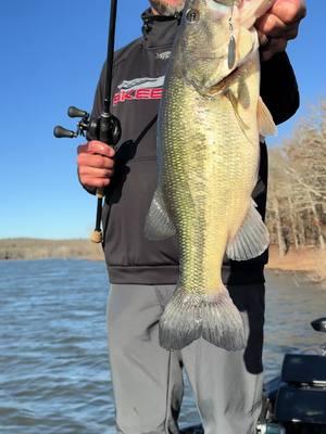 Yep, I did it…..threw a spinnerbait all day and they still bite it.  It didn’t suck!! 😁🎣 #spinnerbait #fishing #bassfishing #winter #fishinglife 