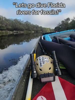 diving for fossils is like... #fyp #topgunmode 