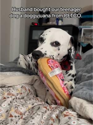 Don’t worry it’s a pet safe 🤣 #fyp #petco #doggyjuana #dalmatiansoftiktok #dogsoftiktok #causeigothigh 