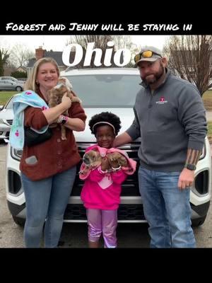 These 2 babies Forrest and Jenny is staying in Ohio Thank you to Jessica, Brad and Brayla for giving our babies a wonderful home❤️❤️❤️ #fergusonbulldogs #monoreferguson #ohio #gingerbabies #forrest #jenny