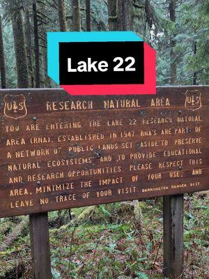 Lake 22! It was our second time doing it and I have to say it looks even better in winter! Absolutely stunning! #lake22 #lake22trail #pnwlife #pnwdogs #pnwdogsoftiktok #rainyday #wimterwonderland #dogs #dogswhohike #hikingwithdogs #dogfriendlyhikes #hiketok #hikersoftiktok #Hiking #hiker #saluki #salukioftheworld #salukioftiktok #sighthound #sighthoundsoftiktok #sighthounds #primitivedog #primitivebreeds #fyp 