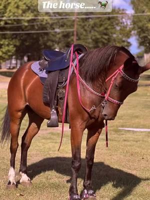 Had to hop on this trend 🤠🐎 #fyp #horse #rider #theduo #duo #countrytok #blackcowboy #trailriders 