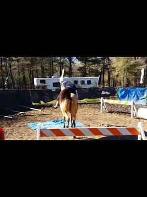 #horse #viralvideo #fyp #foryoupage #Lifestyle #blackhorsemanship #horsemanship #fun #Love 