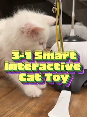 @AIPERRO Interactive Cat Toy! #aiperro #aipereocattoy #cat #cats #catsoftiktok #cattoy #kitten #kittens #kittensoftiktok #furbaby #furbabylove #furbabies #furbabymom #mainecoon #maine #mainecoonsoftiktok #interactive #tech #automatic #launchpad #houseoftiffany #tiktokshopnewyearnewaura 