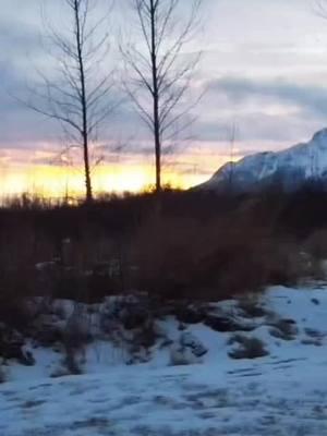 #dronefootage #droneshow #alaska #alaskansunrise #sunrise #mountaintop #skyline #cabininthewoods #snowcappedmountains #palmeralaska #alaskatok 