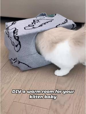 5-minute DIY cat bed! Seriously, it’s THAT easy.  #easydiy #catdiy #upcycle #catsoftiktok #quickcraft #easycrafts #PuffTheChef #thatlittlepuff #PuffHoliday  #catslovers #catsoftiktok #fyp #kitten #cute #wholesome #PetsOfTikTok  #cattrend #cute #funny #viral #trending #tiktok #foryou #fyp 