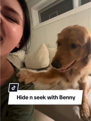 Hide & seek w Benny is the best 😭😭 #goldenretrieverpuppy #goldenpuppies #goldenretrieverlife #goofydogs #goofypuppies #capecod #capecoddogs #firstbornson #goldenson #capecoddog #goldenretrievermoms #hidenseek #chewy #dogsandboats #dogaffiliateprograms #boatingdog #dayinthelifeofgolden #havingagoldenretrieverbelike  