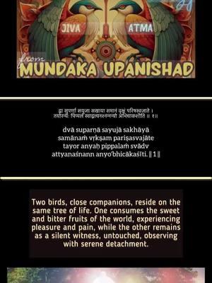 The story of the two birds perched on a tree illustrates that the Paramatma is always by our side, observing our actions as silent witness. While the Jivatma gets lost in sensory experiences, it is only by recognizing the presence of the witnessing Paramatma that one can awaken to their true nature and experience the profound peace that lies beyond worldly distractions #vedas #religion #hinduism #hindu #vedanta #hindutiktok #india #dharma #god #paramatma #foryoupage #fyp 