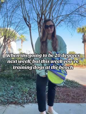 Today I’m training dogs on the beach comfortably, next week I’ll apparently be freezing #dogsof30a #floridapup #dogfriendly30a #30adogfriendly #30alife #30A #floridadog #floridadogs #dogtrainer #dogtrainerlife #dogtrainersoftiktok #beachlife #beachlifestyle #dogtok 