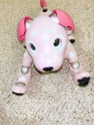 a neptune & venus creature feature for tonite  #aibo #aibotok #sony #sonyaibo #robotdog #robotsontiktok #robotpet #virtualpet #artificialintelligence #puppybot 