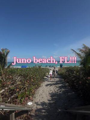 The best beach day!!! We had the best time checking out the Loggerhead Marine center and it’s right next to the beach!! #junobeach #junobeachfl #loggerheadmarinelifecenter 