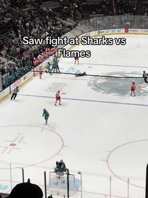 Lil fight a Sharks game on Saturday #fyp #sharks #sanjose #sanjosesharks #flames #calgaryflames  