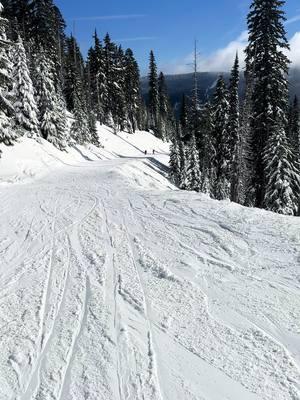 Nothing better than a blue bird day on the mountain 💜⛷️🎿 #fyp #mthood #oregon #pnw #skiing #freshpow #skiingtiktok 