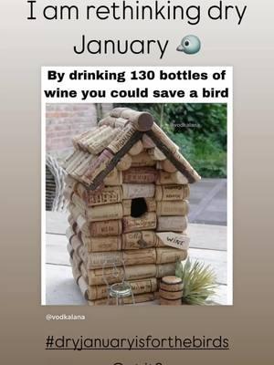 Save the birds!!! #dryjanuary #savethebirds #birds #wine #ilovethemsomuch 