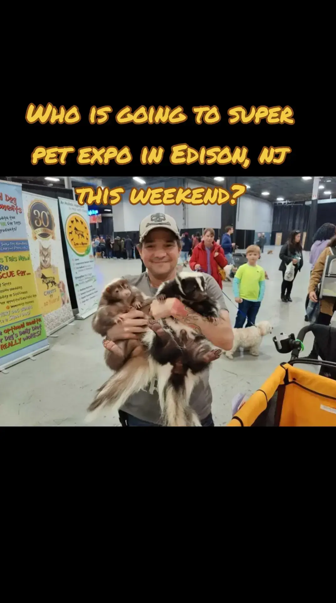 Who is going to super pet expo this weekend come up and say hi....meet the stinkers! @superpetexpo #animalsoftiktok #skunks #skunksoftiktok #skunk #pets #PetsOfTikTok #animals #theskunkwhisperer #pet #superpetexpo #expo #petexpo