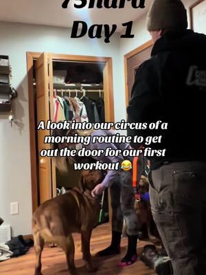 Worth it 😂😂 #75hard #ruck #dogsoftiktok #packwalk #outdoorworkout #multipledoghousehold #labsofinstagram #crazydogs 