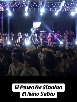 #elpotrodesinaloa #chalinosanchez #banda #sinaloa #pesopluma #panterbelico #concert 