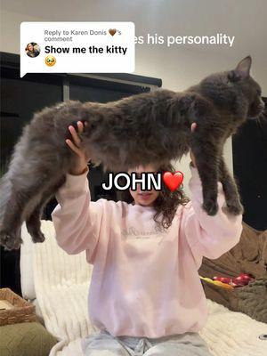 Replying to @Karen Donis 🤎 not him tea bagging koa in the beginning 🤣 we love john  #mainecoon #chowchow #PetsOfTikTok #cattricks #training #kittentok #puppy #cat 