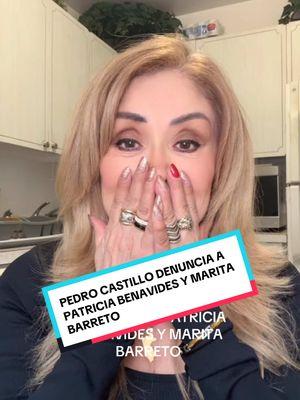 Pedro Castillo denuncia a fiscal destituida Patricia Benavides y a fiscal suspendida Marita Barreto #paratii #pedrocastillo #dinaboluarte #fujimorismonuncamas #patriciabenavides 