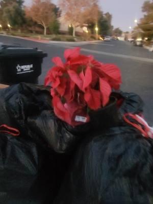 lo que tiran la gente en usa un montón de dólares a la basura#fypage #dumpsterdiving #loquetiralagenteenusa #unmontondedolares #loquetiranlosmillonarios #enusa #muchodineroalabasura #loquetiranentodousa #muchascosasnuevas #loquetiranlosamericanos #dineroalabasura #ungranhallazgo #dedineroenlabasura #dumpsterdiving #parati #fypage #viralentiktok #loquetiranentodoelmundo #encontramos #laloteriaenlabasura #losguardianes #delabasuraenusa #losdestuctores #delabasuraenusa #lospepenadores #delabaduraenusa #losrecolectores #debasuraenusa #dumpsterdiving #fypage 