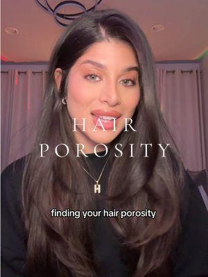 Take notes ladies , knowing your hair porosity will do wonders for your hair health 📝🤎 let me know if you’d like to know specific product recommendations #hairstylist #hairtips #haircare #hairporosity #hafeezasheikh #HairCareTips 