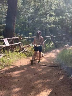 I might be a troll on this app, but here is what I do. I breathe in the trees, blue skies and sunshine any chance i get.  #hikecolorado #Hiking #dogsoftiktok 