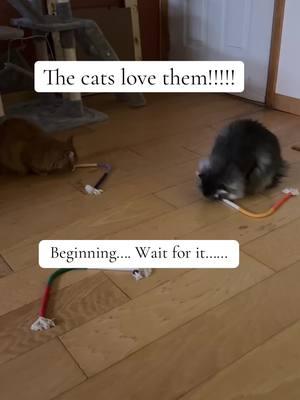 Highly recommend! The cats love them! @Potaroma Pets #potaromacattoys #cattokers #crazycat #cattok #cattoys #potaromapets 