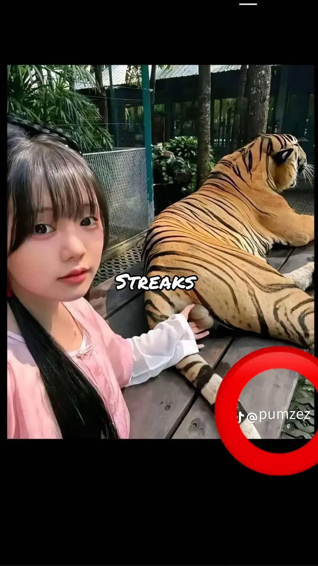 #fypage #tiktokstreak #streakreminder 