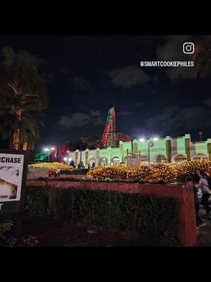 Christmas Town was an experience and at least we are together ❤️  #tampabay #buschgardenstampabay  #foryoupage #smartcookiephiles #visitflorida 